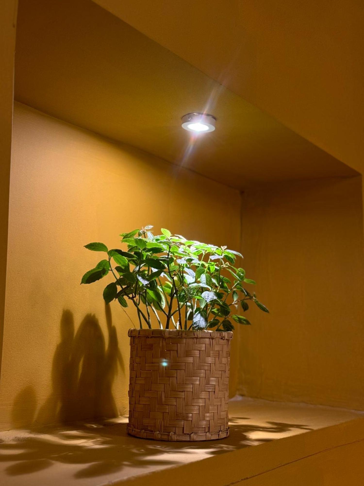 The Melo Pomelo Courtyard. Apartment Kathmandu Bagian luar foto